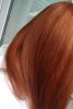 DSC07329.JPG