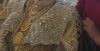 923342_118837754988355_1129238532_n[1].jpg