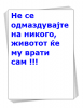vvv.png