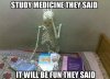 funny-skeleton-studying-books.jpg