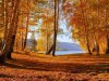 autumn-forest-lake-1280x960.jpg