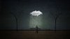 spectacular-dawn-free-rain-hd-desktop-wallpaper.jpg