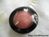 Deborah-Milano-Powder-blush-no.-55-Paprika-Review-Swatc-3.jpg