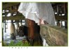 bride_at_pj_beach_san_diego_california_sanding_feet_under_pier.jpg