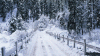 tumblr_md36doz8ah1r2zu7yo1_500.gif