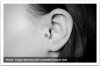 main_tragus_piercing_20130104.jpg