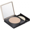 manhattan-cosmetics-2-in-1-perfect-teint-powder-make-up.png