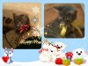 pizap.com10.74267415003851061387372308875.jpg