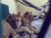 07122008369.jpg