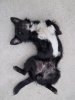 100_3038.JPG