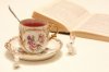 book,tea,books,cute,photo,rabbit-89753bda61791012f60c9ee7df7aaa0e_h_large.jpg