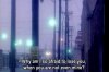tumblr_mzh54maVTC1r238sko1_500.jpg