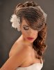 Bridal-Hairstyles-2014-For-Long-Hair-With-Veil.jpg