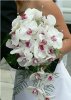 orchid wedding flowers, wedding flowers, flowers.jpg