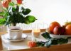 2622933-275603-breakfast-tray-with-fruit-coffee.jpg