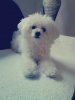 camera_20140202161849904.jpg