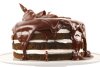 Torta-gelato-con-variegato-alla-Nutella.jpg