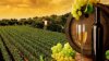 wine-beautiful-bottle-1280x720.jpg