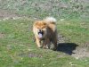 DSCN0843.jpg