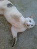 DSC_0291.jpg