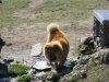 DSCN0827.jpg