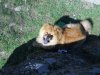 DSCN0846.jpg