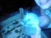 IMG_20130703_220917.jpg