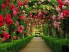 Beautiful Gardens 15.jpg