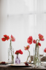 tumblr_mvbk1537hB1soilcoo1_500.png