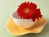 Cup-With-Flower-.jpg
