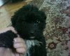 DSC00048.JPG