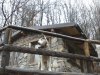 CAM01058.jpg