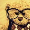 Teddy with sunglasses.jpg