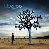 20090212033955_0_Bluetree_God_of_This_City_cover.jpg