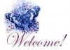 Patriotic_butterfly_Welcome22-353x252.jpg