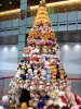 29dec08.jpg