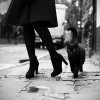 elegancia,black,,,white,black,cat,cat,girl,street-90f582e7b7ade714dcea1714a3df3535_h.jpg