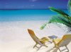 Summer-Beach-12.jpg