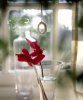flower-and-window-daniel-troy.jpg