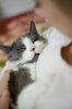 DSC_3652.JPG