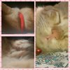 PhotoGrid_1396603100596.jpg
