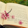 spring-book.jpg