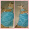 PhotoGrid_1397645989859.jpg