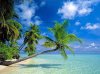 hawaii-beach.jpg