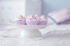 cake1.jpg