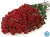 red-rose-bucket-800x600.jpg