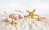 animal-seashell-and-starsfish-backgrounds-wallpapers.jpg