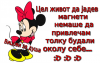 1509777_656778471059777_2874922010757674526_n.png