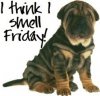 smellFriday_thumb[4].jpg