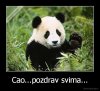 demotivacija.rs_Cao...pozdrav-svima...-_135962841555.jpg